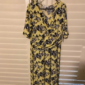 BNWT Chaus Dress